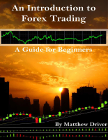 An introduction to forex trading @tradingpfgratis.pdf